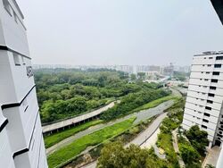 Blk 495D Tampines Street 43 (Tampines), HDB Executive #635957371